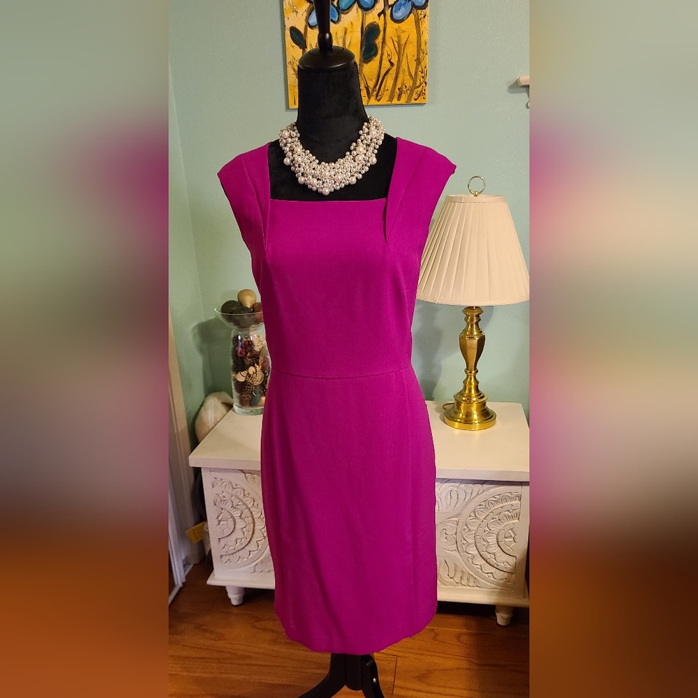 Fuchsia Ann Taylor Dress